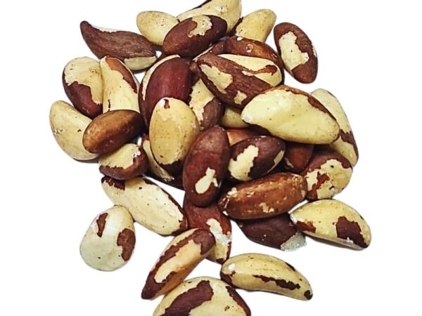 Por que a castanha do Pará desidratada é uma excelente fonte de nutrientes?